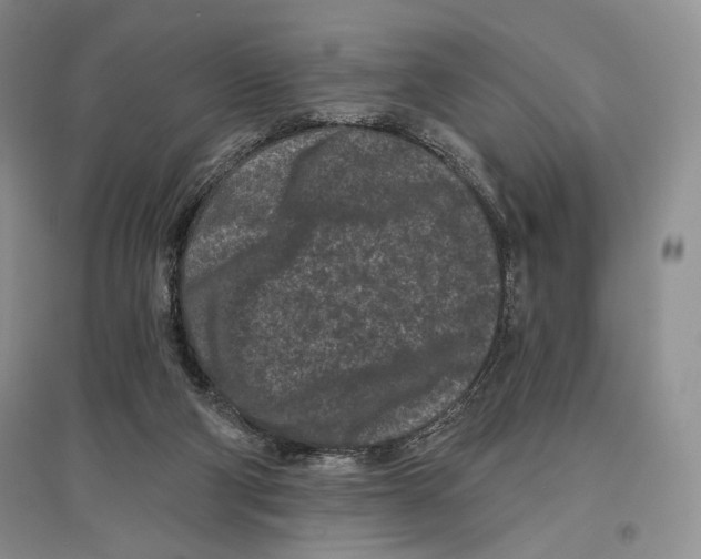 X0000097290114200803141519