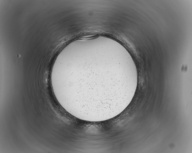 X0000097290115200803141519