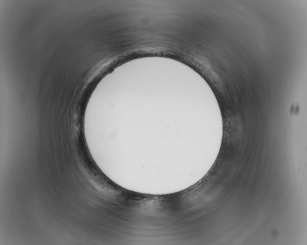 X0000097290116200803141519