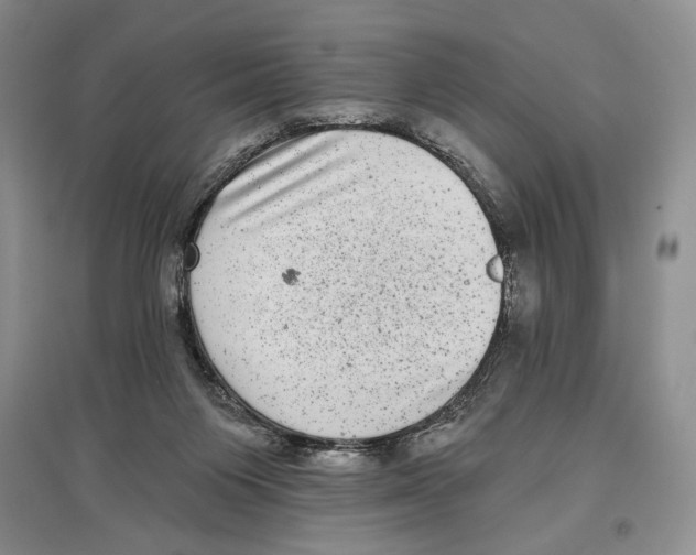 X0000097290119200803141519