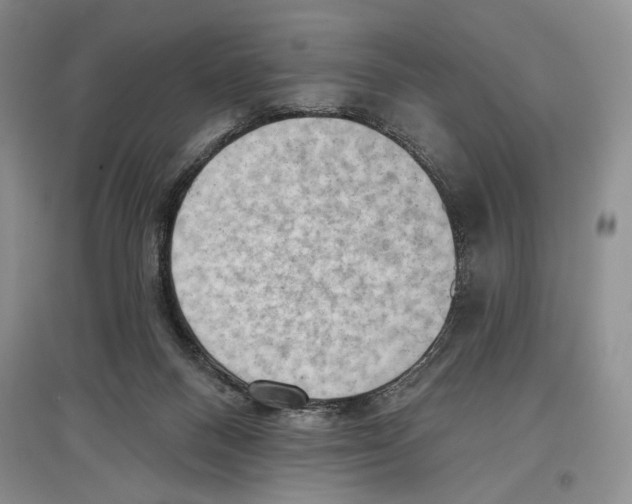 X0000097290120200803141519