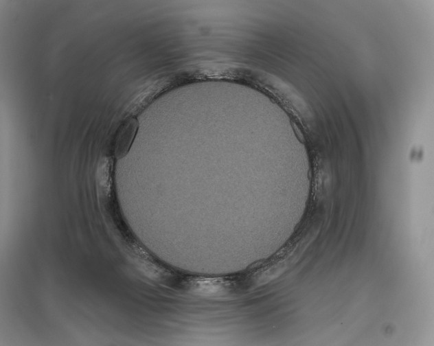X0000097290121200803141519