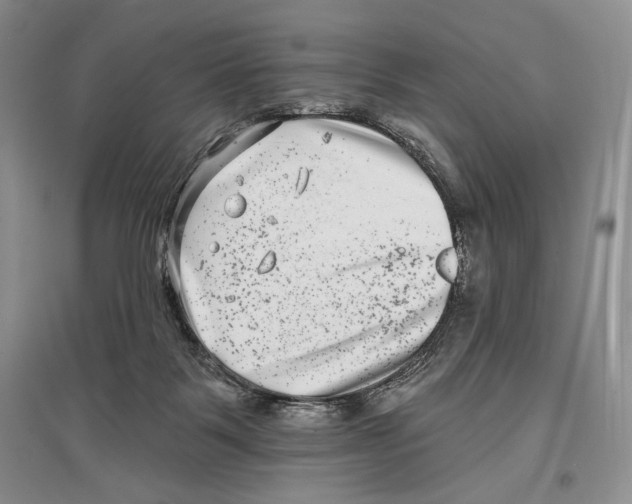 X0000097290123200803141519