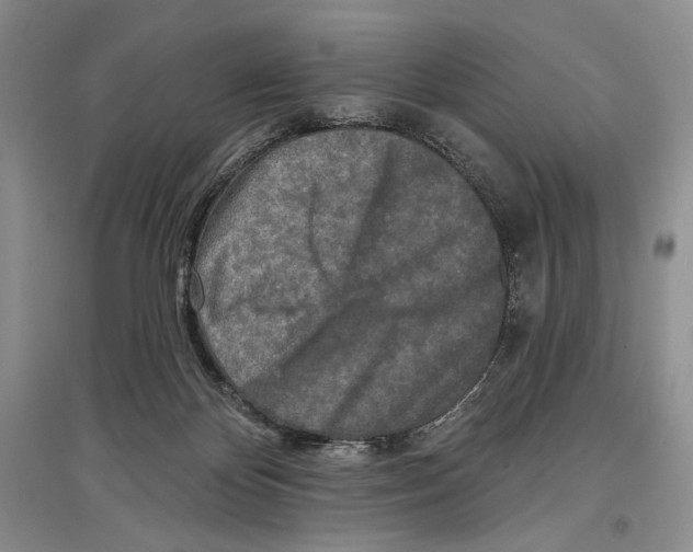 X0000097290124200803141519