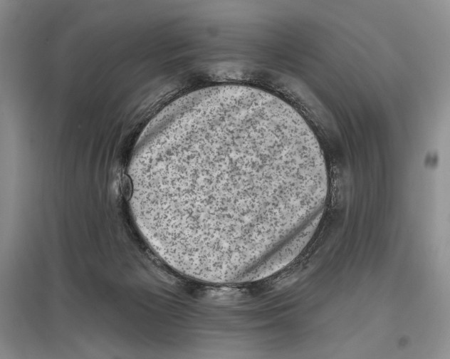 X0000097290125200803141519