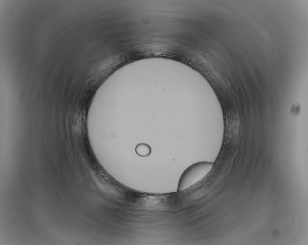 X0000097290126200803141519
