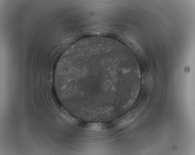 X0000097290127200803141519