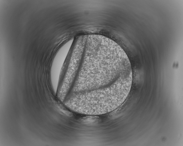 X0000097290128200803141519
