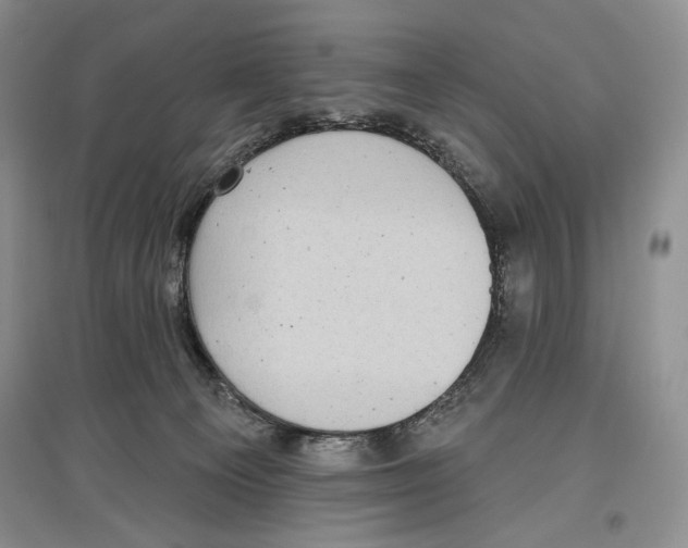 X0000097290129200803141519