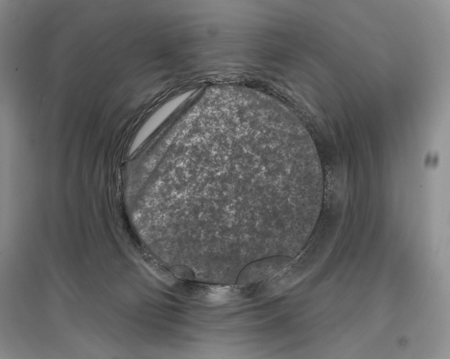 X0000097290130200803141519