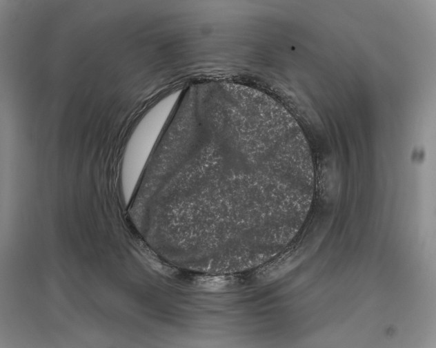 X0000097290131200803141519
