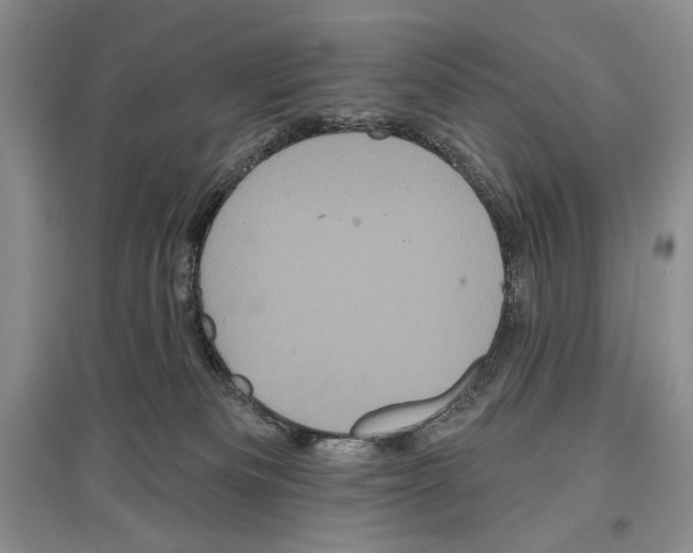 X0000097290133200803141519