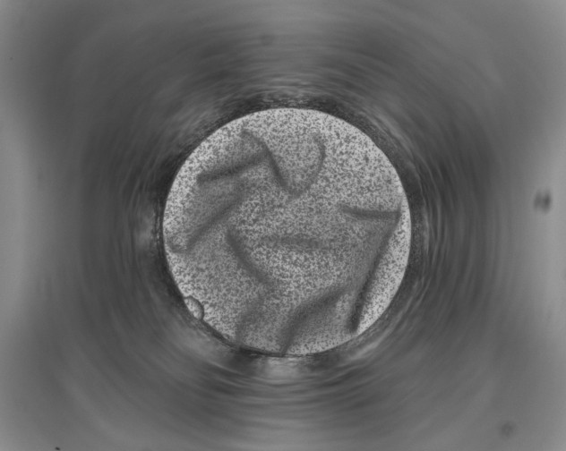 X0000097290134200803141519