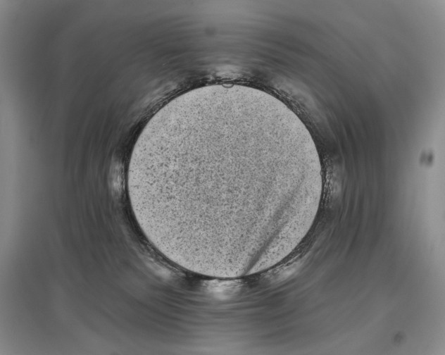 X0000097290135200803141519