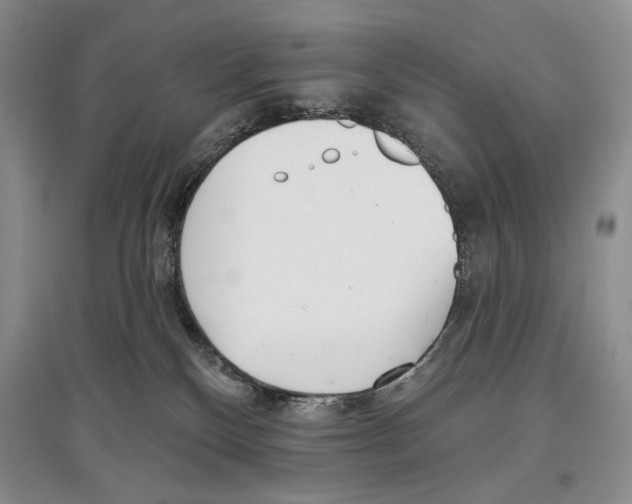 X0000097290136200803141519