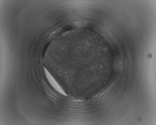 X0000097290137200803141519