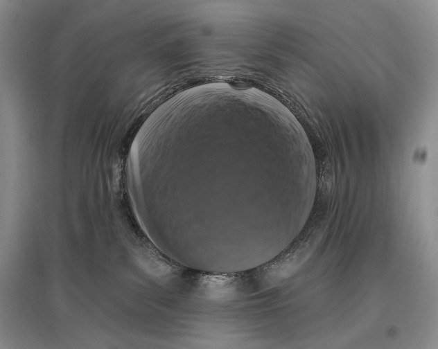 X0000097290139200803141519