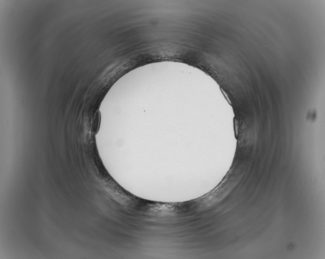 X0000097290140200803141519