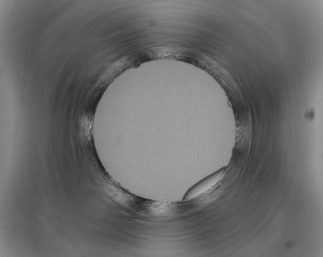 X0000097290142200803141519
