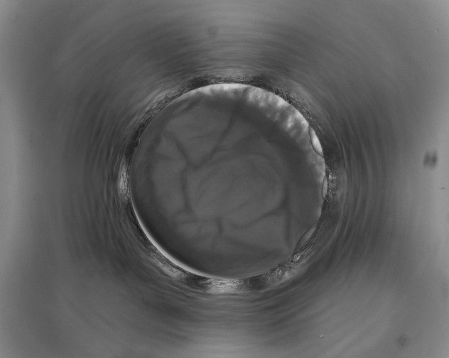 X0000097290143200803141519