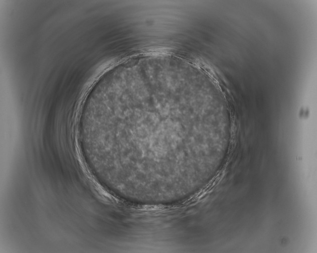 X0000097290145200803141518