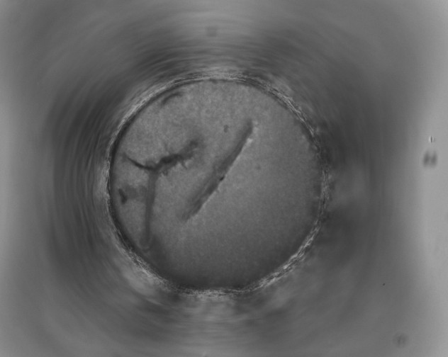 X0000097290146200803141518