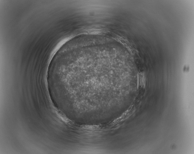X0000097290147200803141518