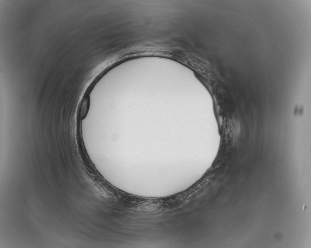 X0000097290148200803141518