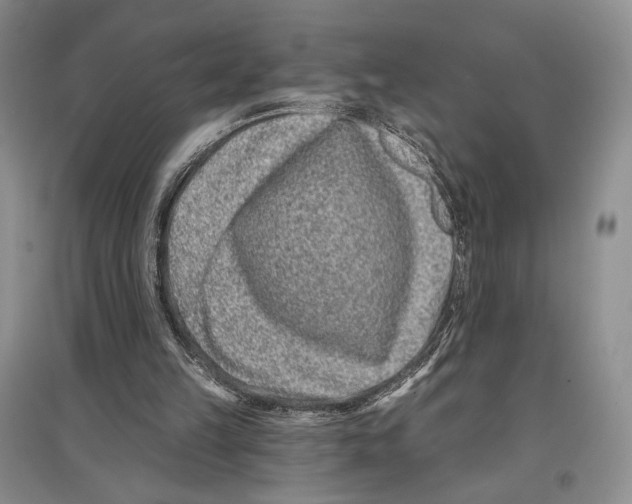 X0000097290149200803141518