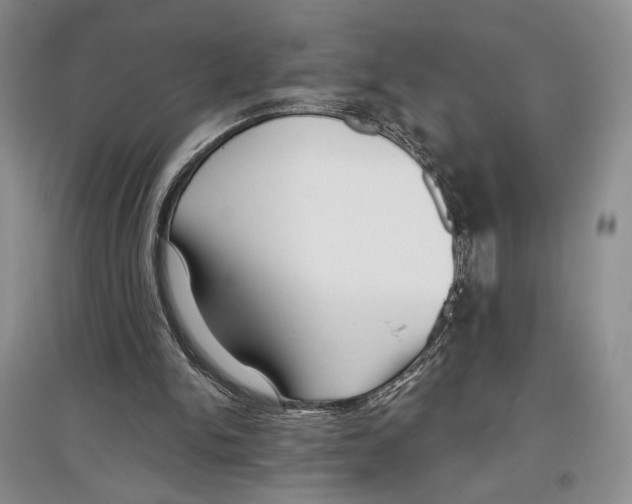 X0000097290150200803141518