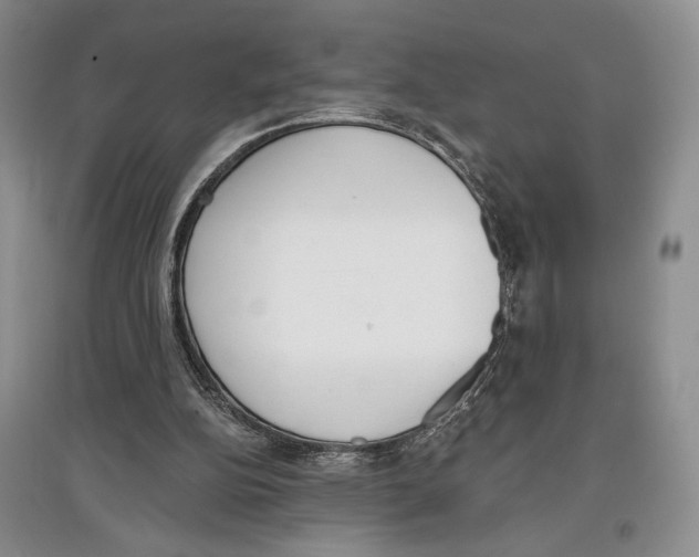 X0000097290152200803141518