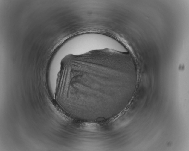 X0000097290154200803141518