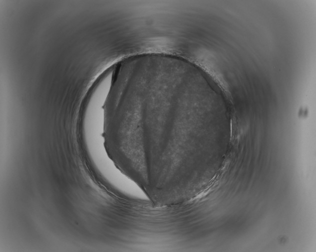 X0000097290156200803141518