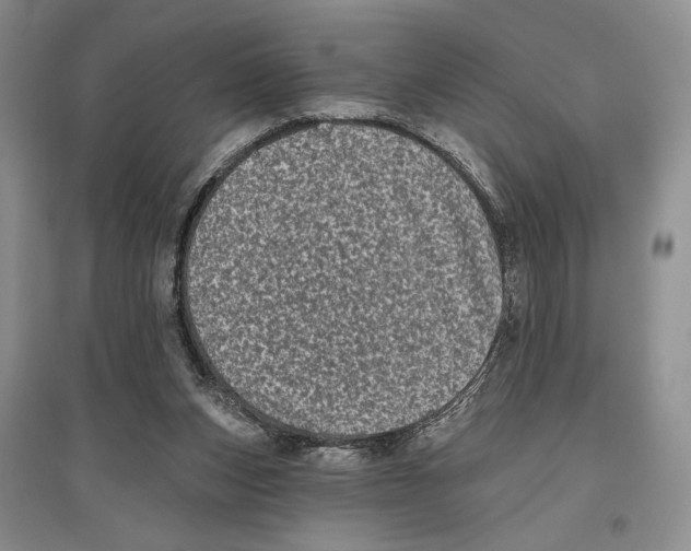 X0000097290159200803141518