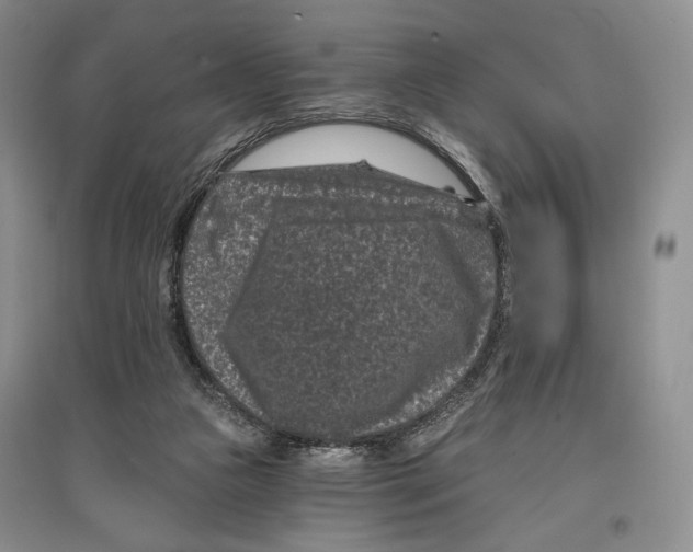 X0000097290161200803141518