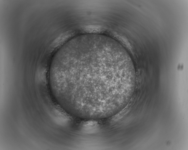 X0000097290162200803141518