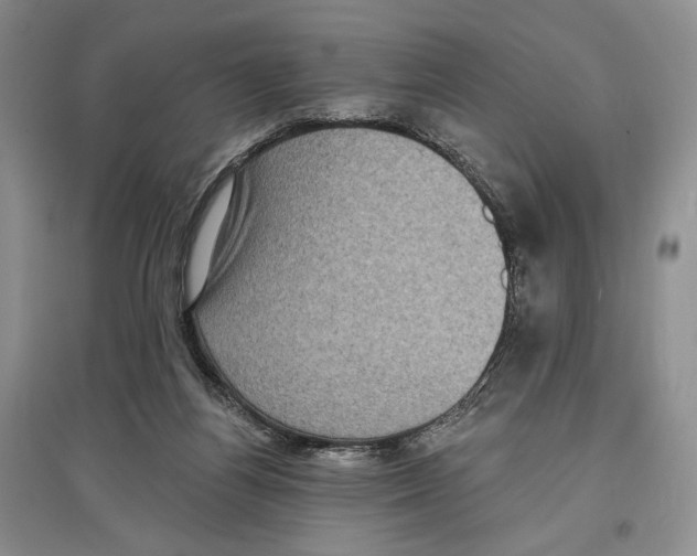 X0000097290164200803141518