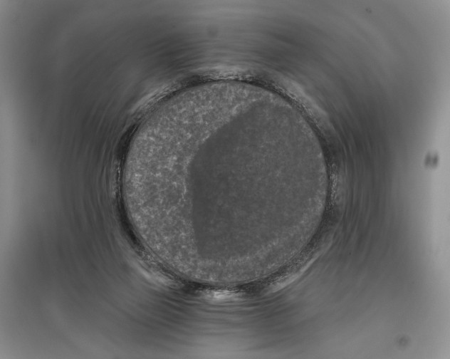 X0000097290165200803141518