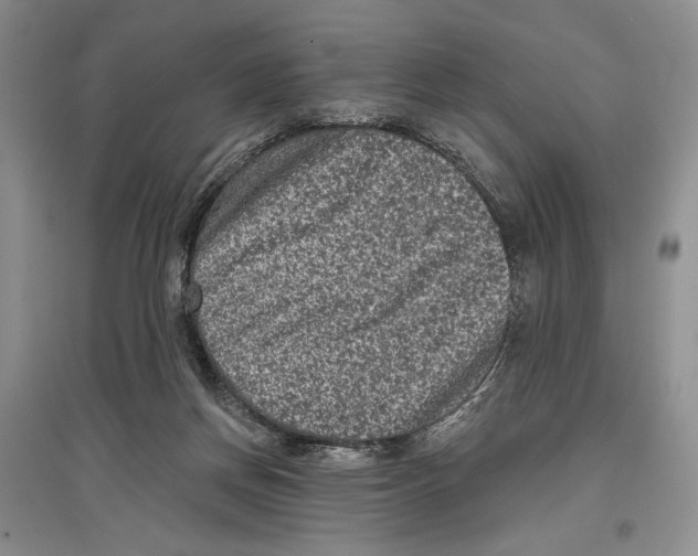 X0000097290166200803141518