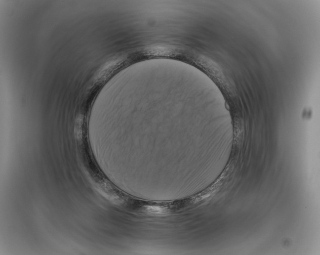 X0000097290167200803141518