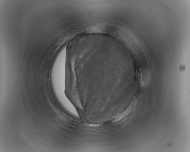 X0000097290168200803141518