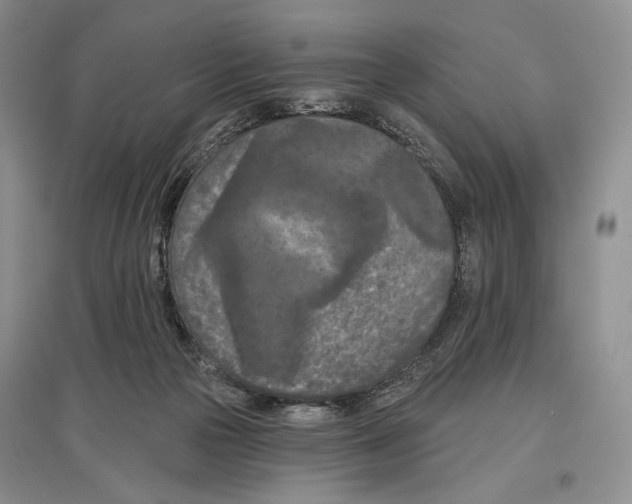 X0000097290169200803141518