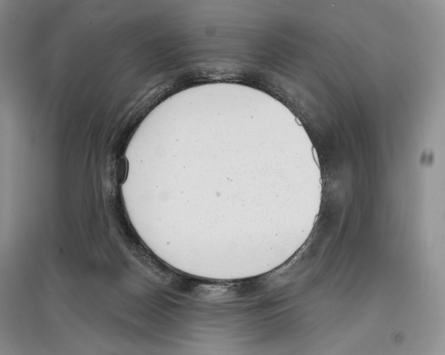 X0000097290170200803141518