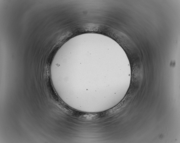 X0000097290172200803141518