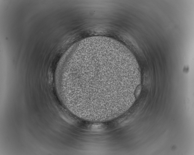 X0000097290173200803141518