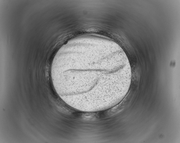 X0000097290175200803141518