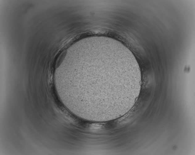 X0000097290176200803141518