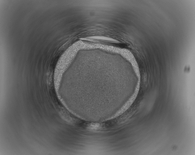 X0000097290177200803141518