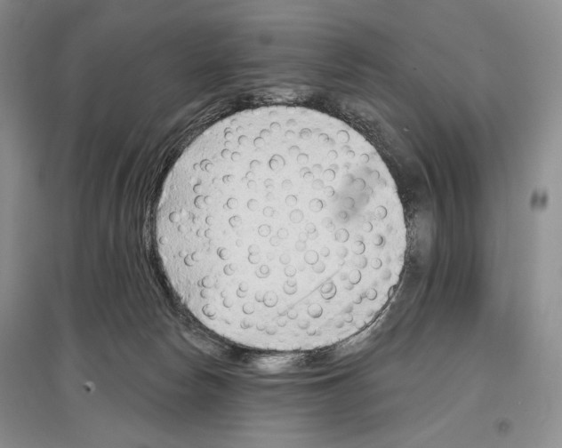X0000097290178200803141518