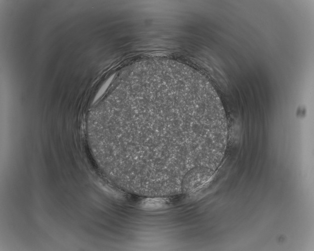 X0000097290179200803141518
